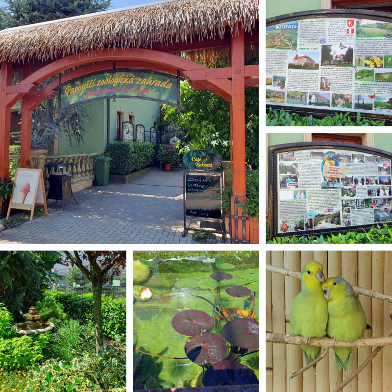 Parrot Zoo 1