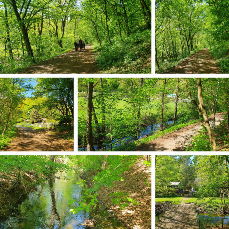 Marian Valley