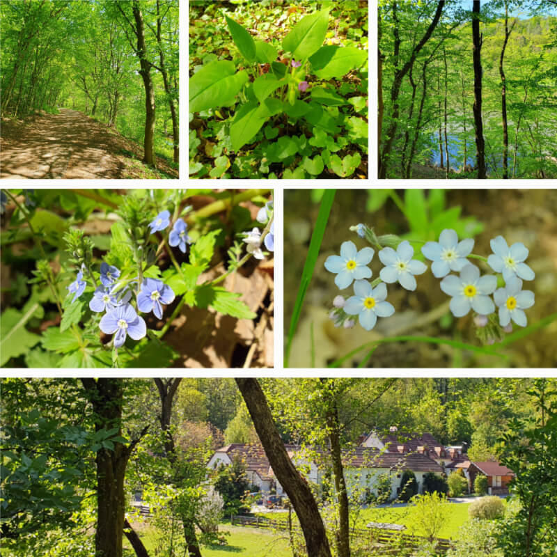Marian Valley