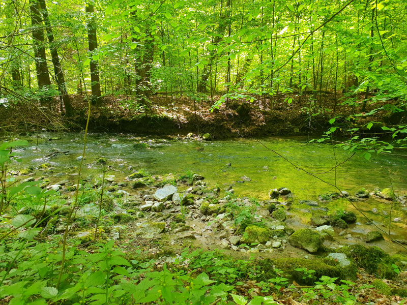Pustý Žleb Canyon