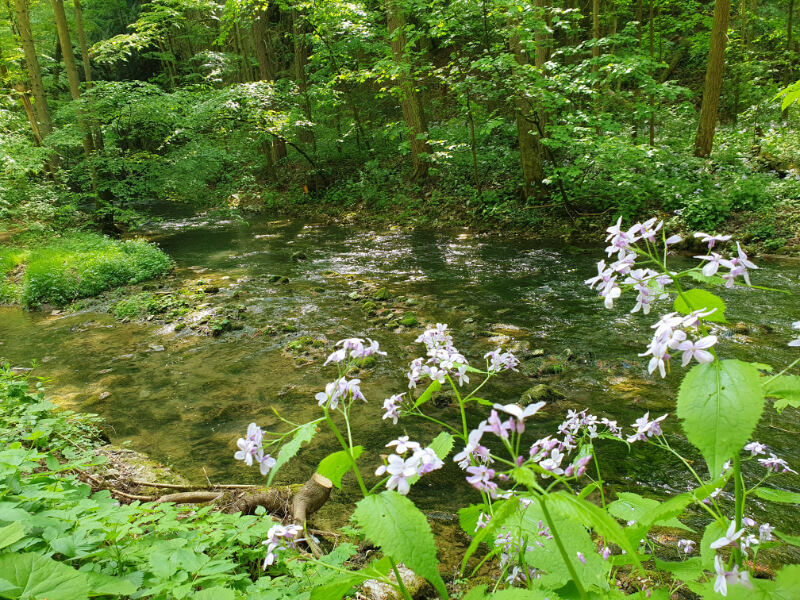 Pustý Žleb Canyon