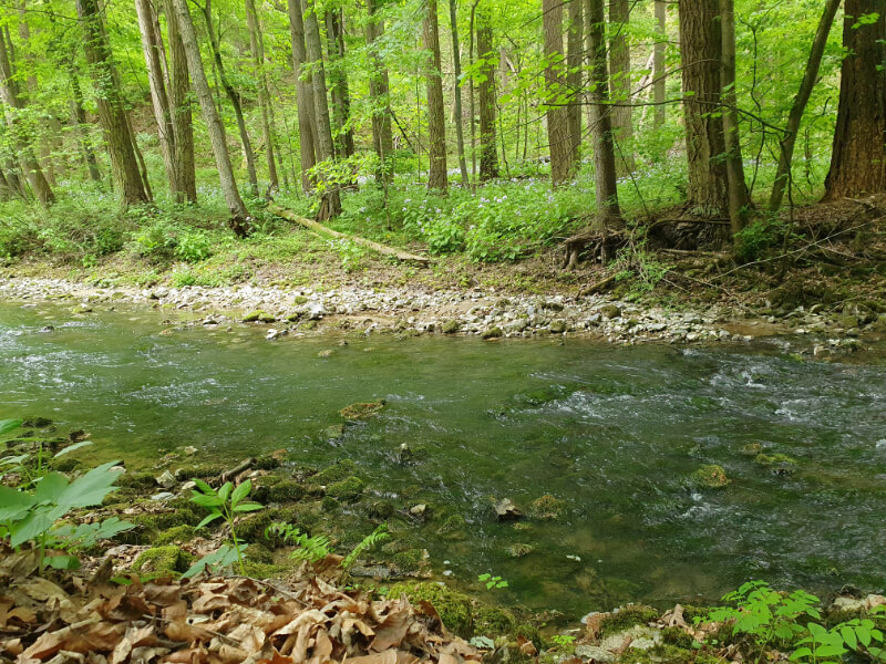 Pustý Žleb Canyon