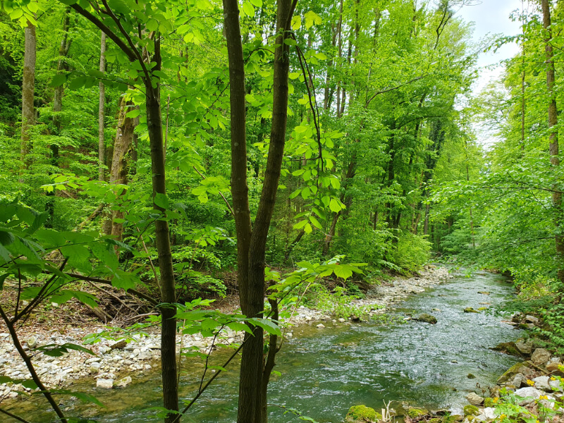 Pustý Žleb Canyon