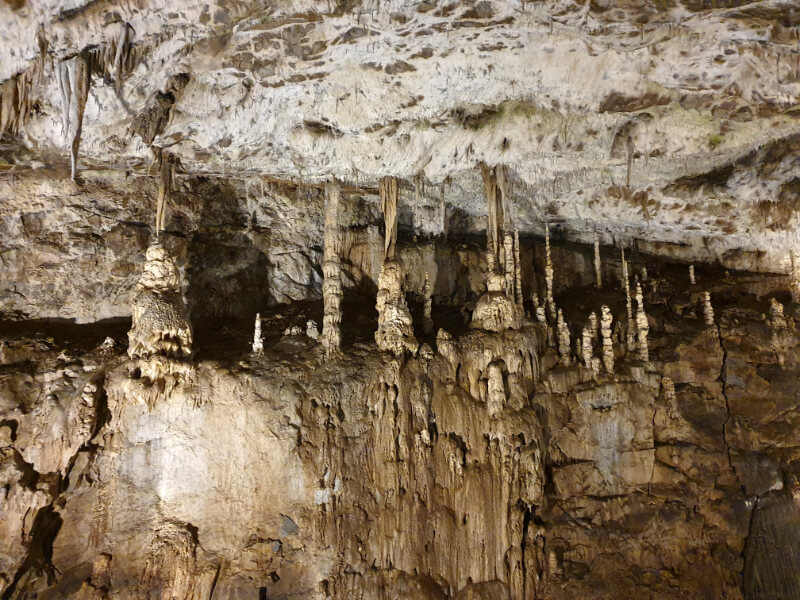 Punkva Caves