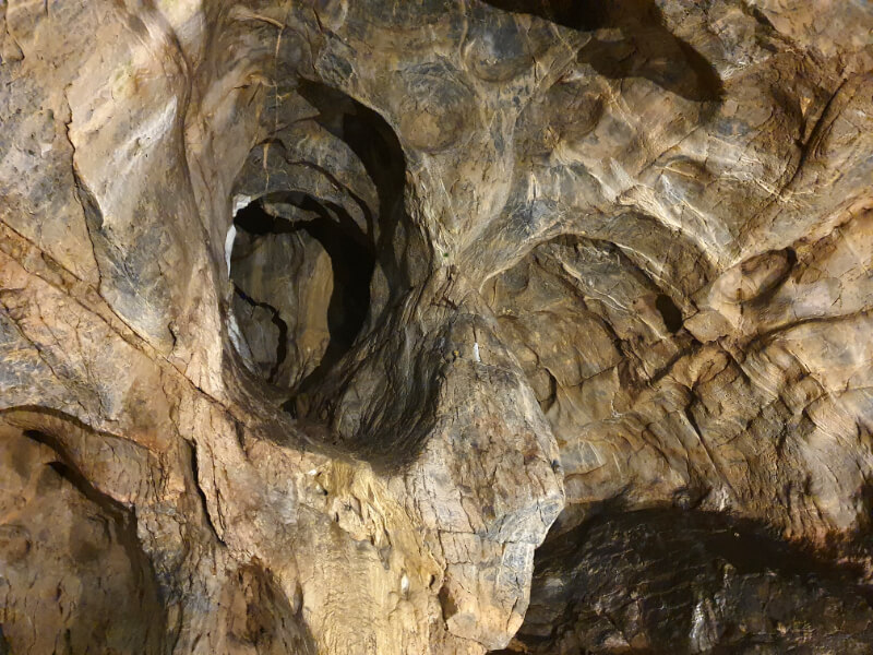 Catherine Cave