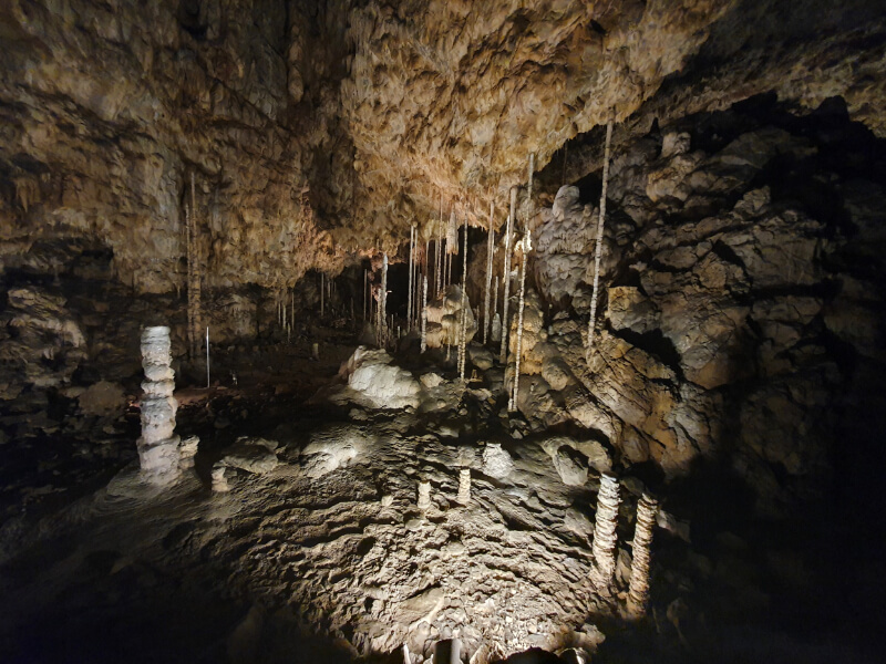 Catherine Cave