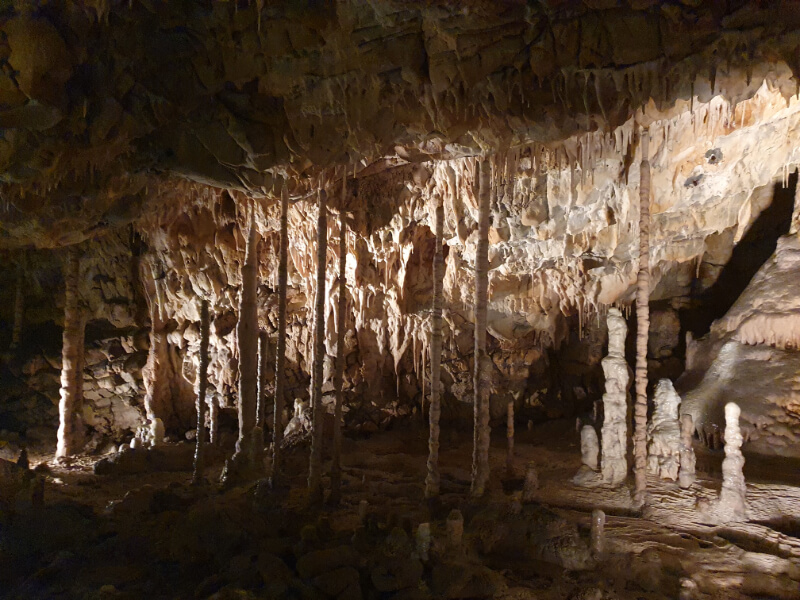 Catherine Cave