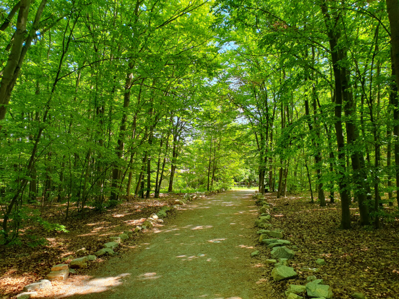 Way to the Macocha Abyss