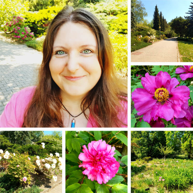 Mendel Arboretum