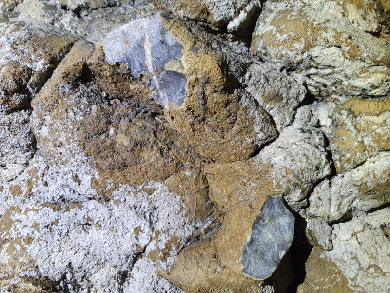 Vypustek Cave