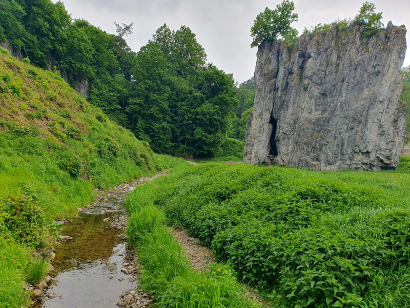 Sloup-Sosuvka Cave