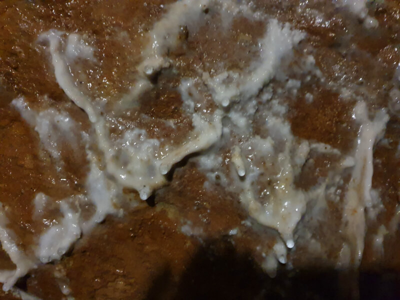 Sloup-Sosuvka Cave