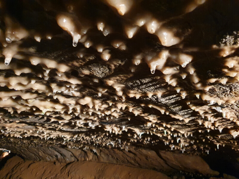 Sloup-Sosuvka Cave