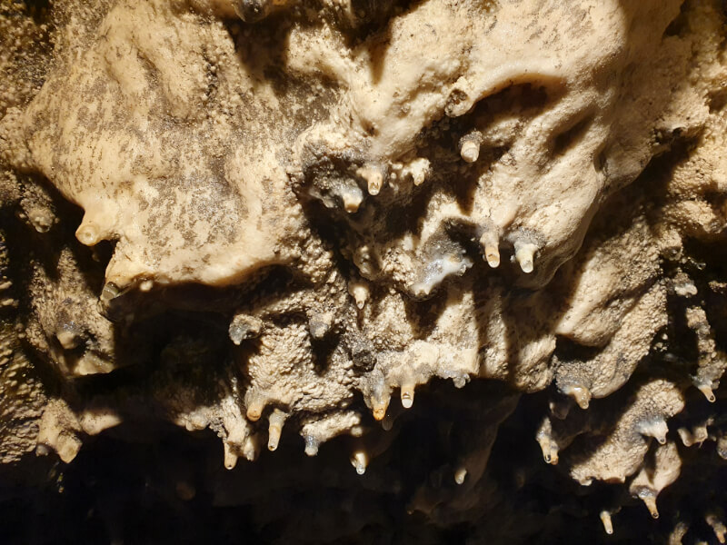 Sloup-Sosuvka Cave