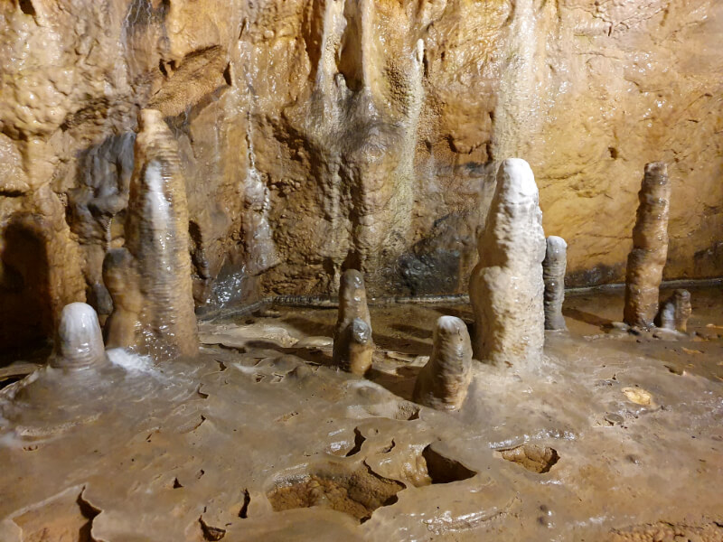 Sloup-Sosuvka Cave