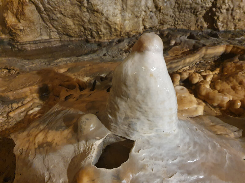Sloup-Sosuvka Cave