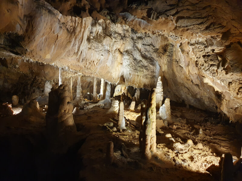 Sloup-Sosuvka Cave