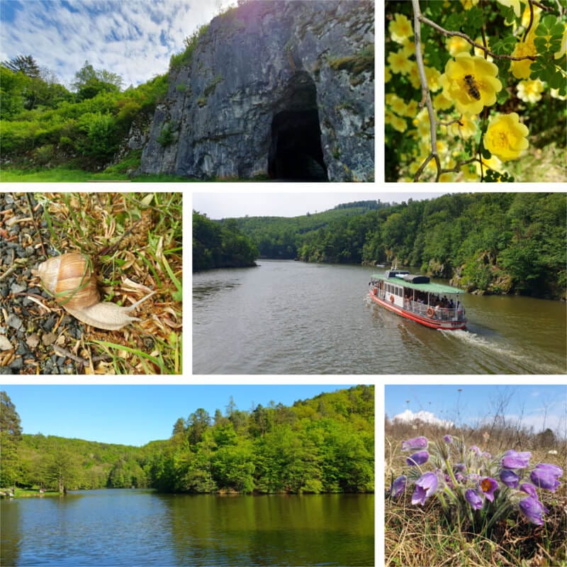 Picturesque landscapes