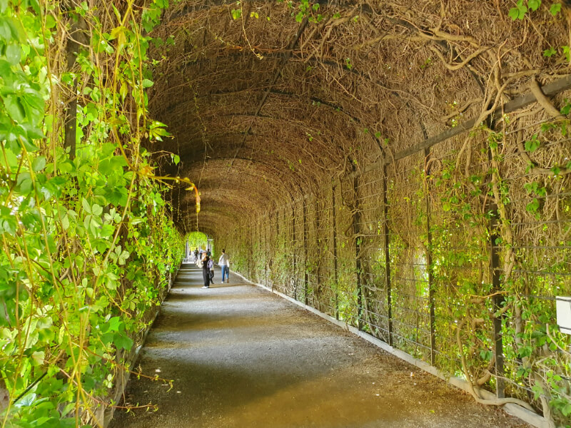 Schonbrunn Palace