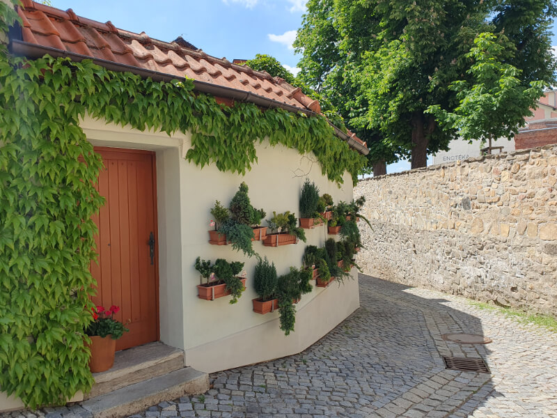 Znojmo