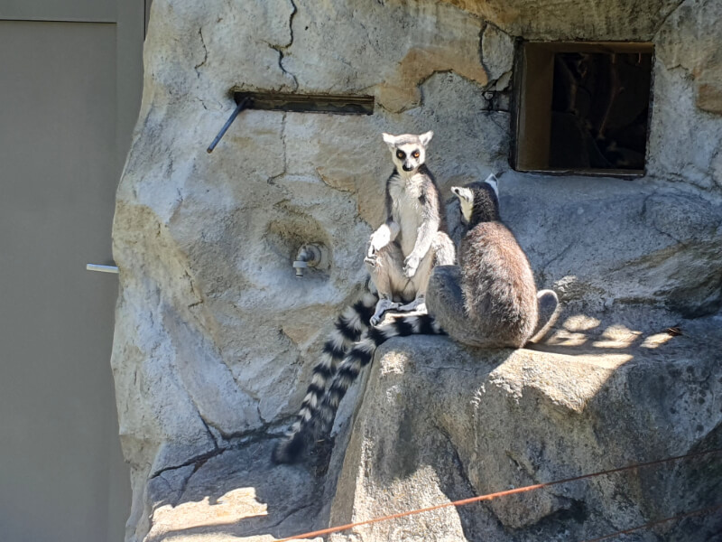 Olomouc Zoo