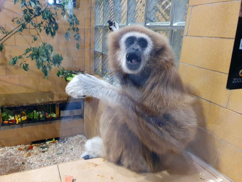 Olomouc Zoo