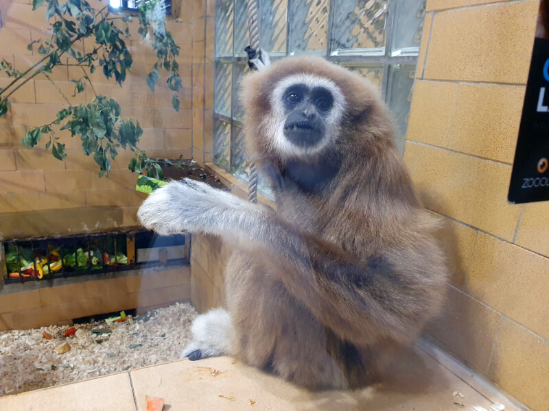 Olomouc Zoo