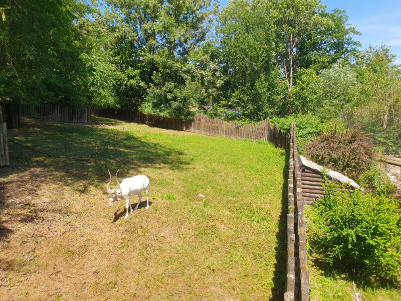 Olomouc Zoo