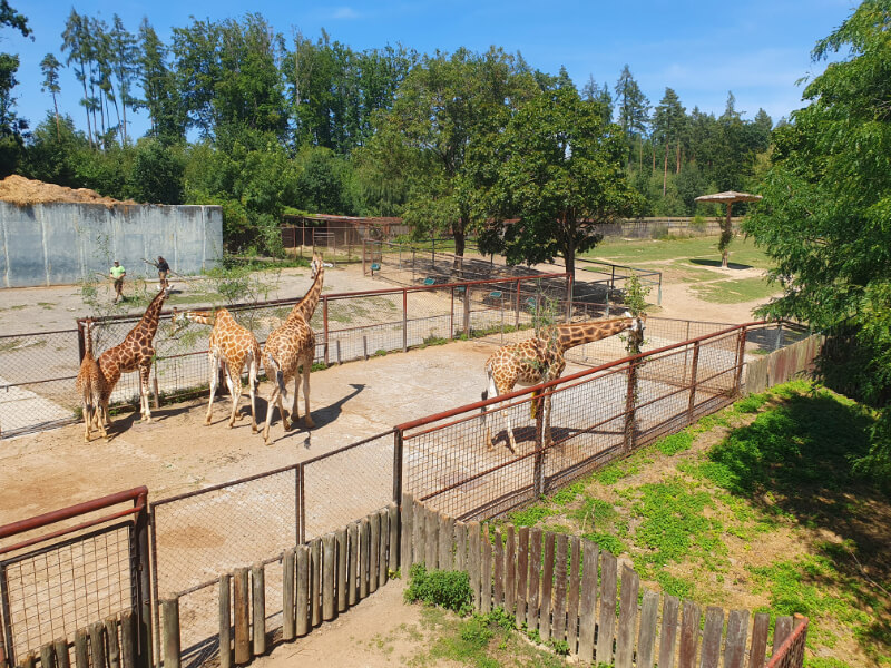 Olomouc Zoo