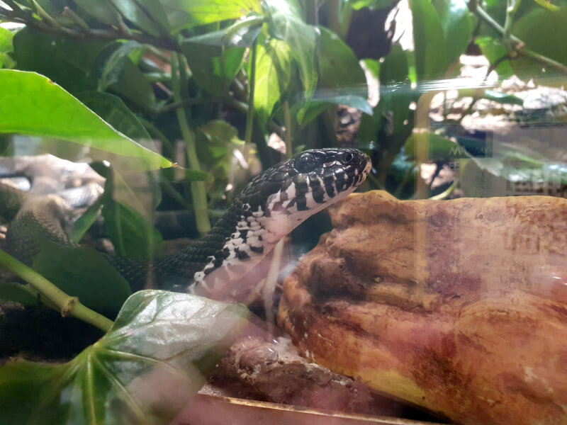 Olomouc Zoo