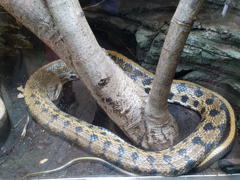 Olomouc Zoo