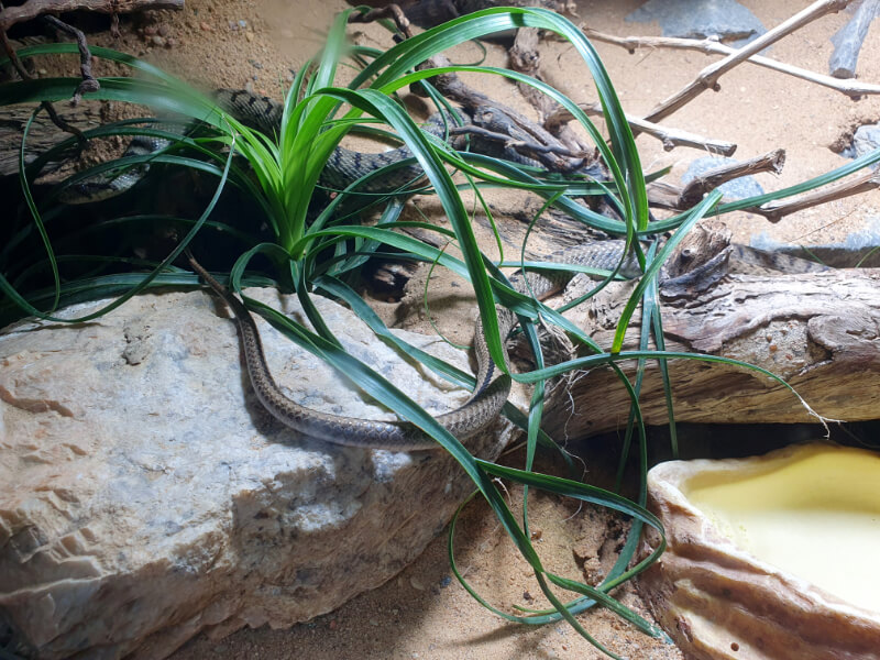 Olomouc Zoo