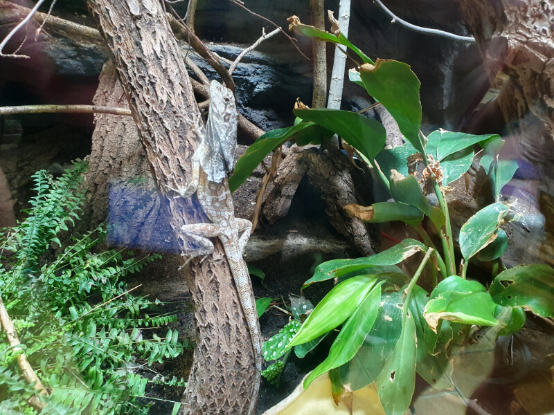Olomouc Zoo