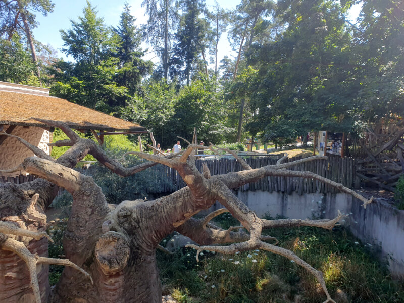 Olomouc Zoo