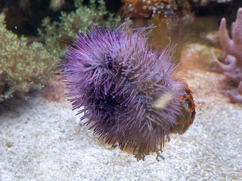 Olomouc Zoo