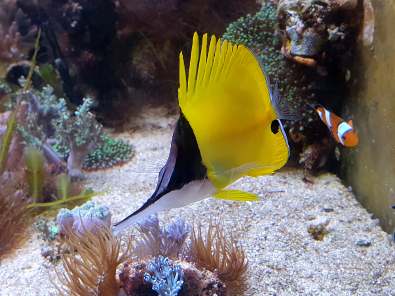 Olomouc Zoo