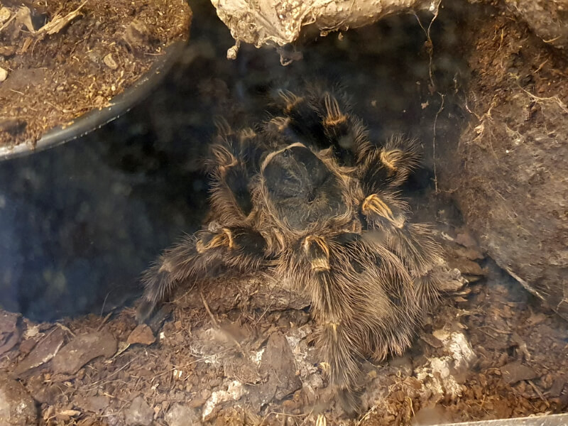 Olomouc Zoo