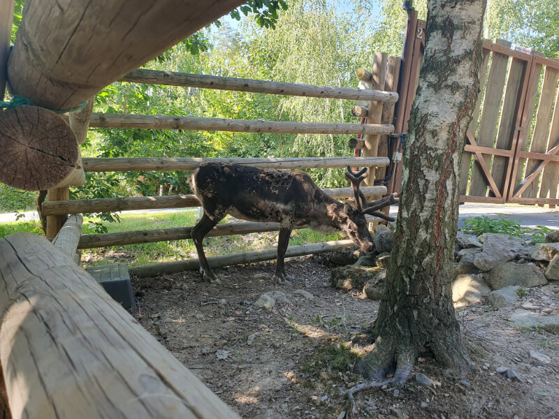 Olomouc Zoo
