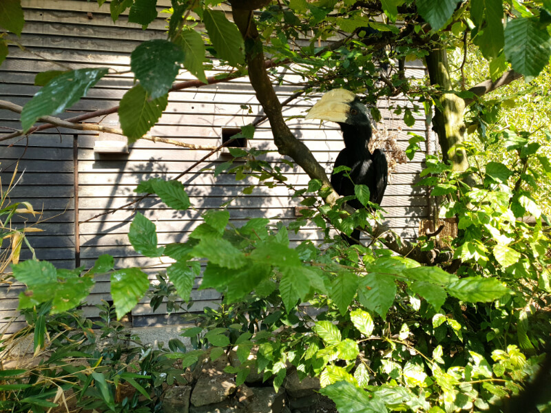Olomouc Zoo
