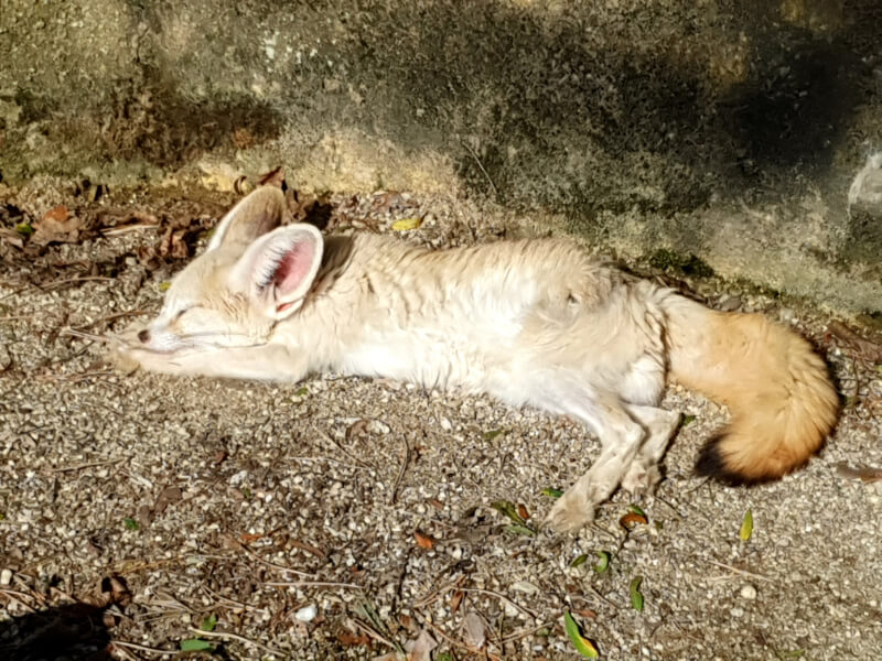 Olomouc Zoo