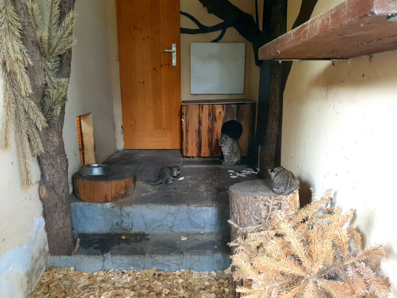 Olomouc Zoo