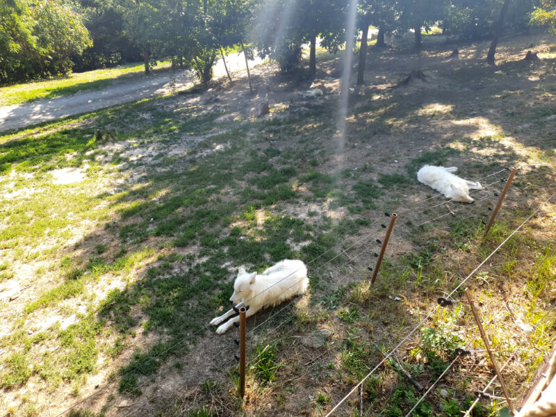 Olomouc Zoo