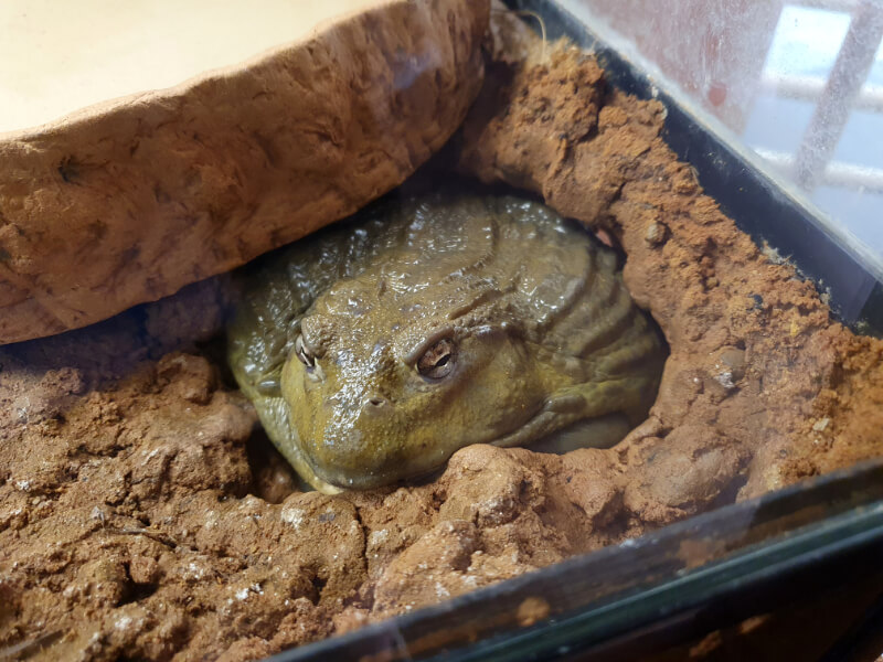 Olomouc Zoo